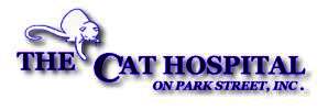 Cats On Park